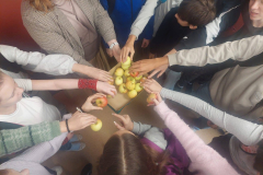 IMG-20251107-WA0019
