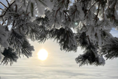 WhatsApp-Image-2026-03-10-at-10.36.15-1